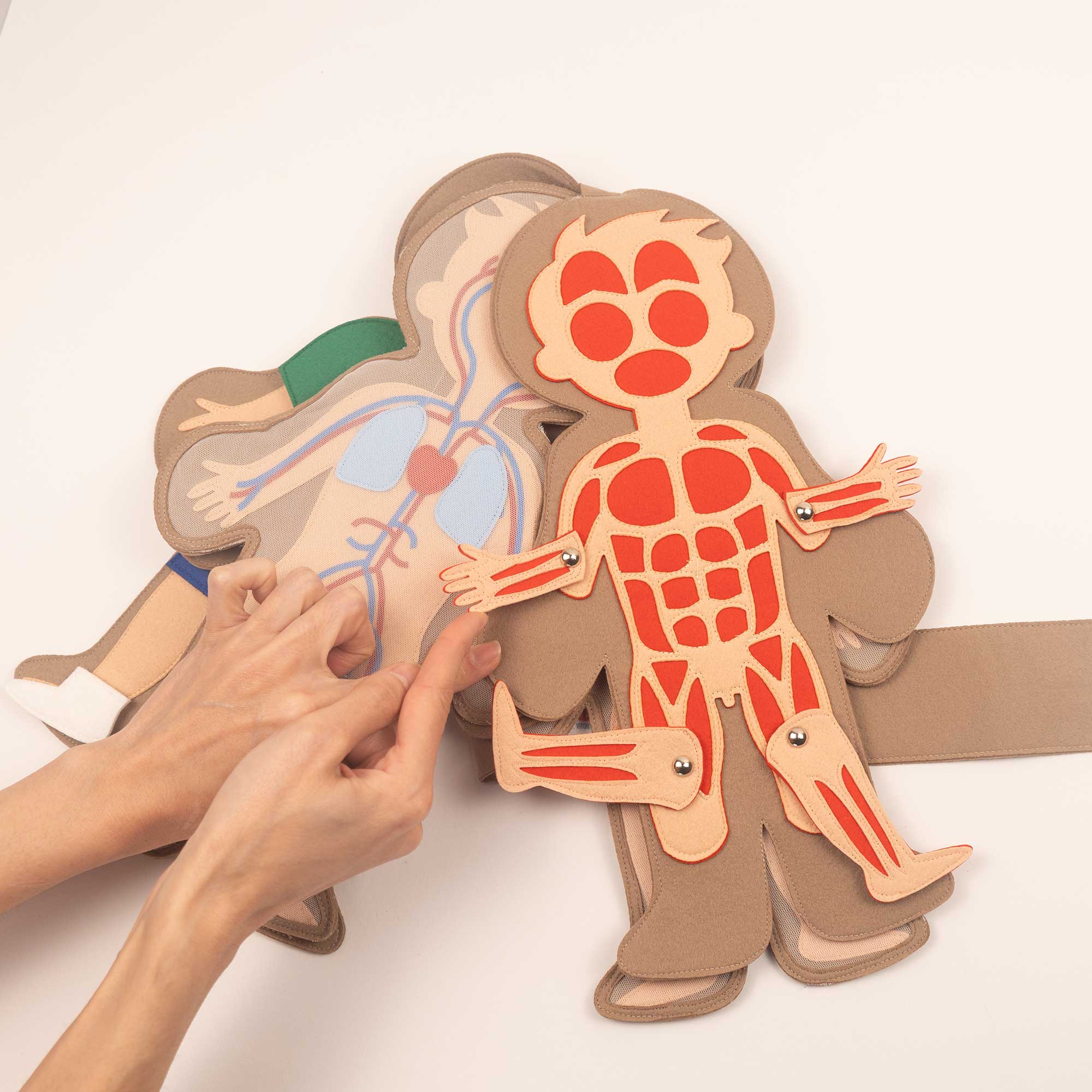 My Body - Boy