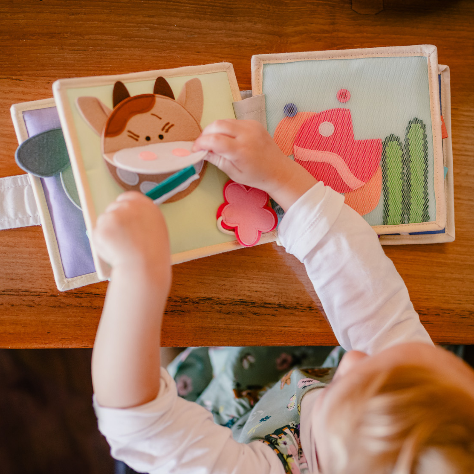Magischer Vogel trifft Sonnenschein